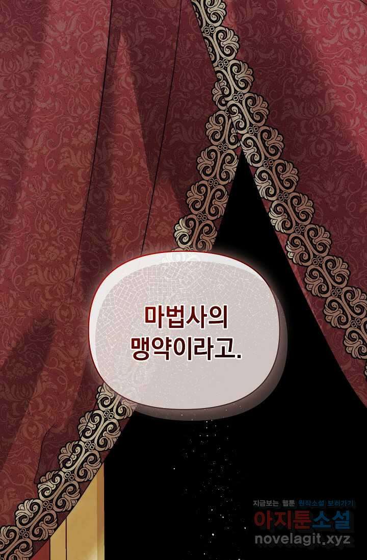 흑막 남주의 시한부 유모입니다 45화 119
