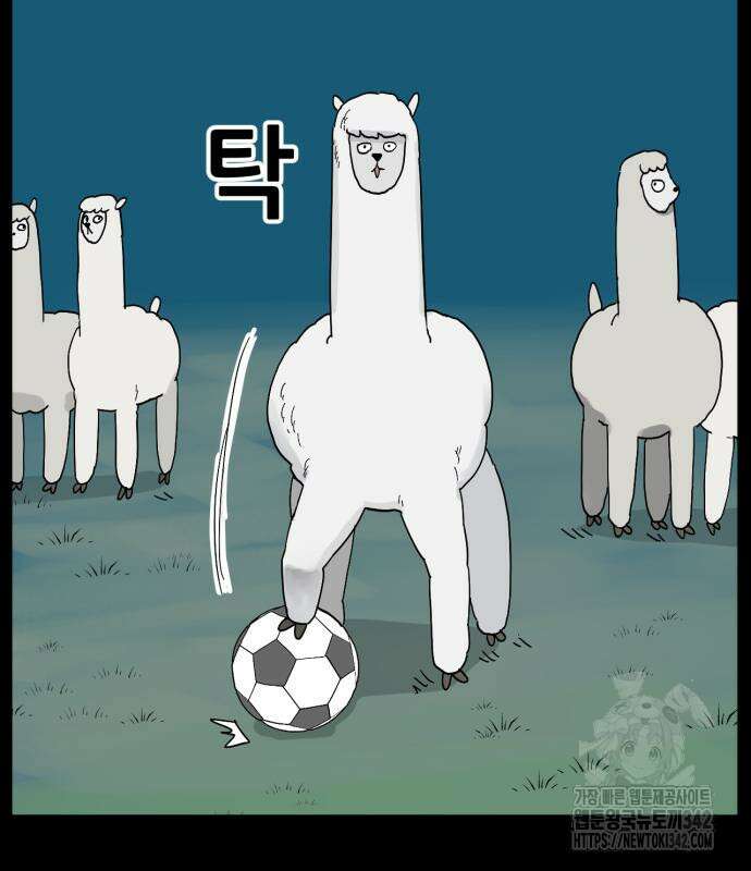 괴양이 52화 9