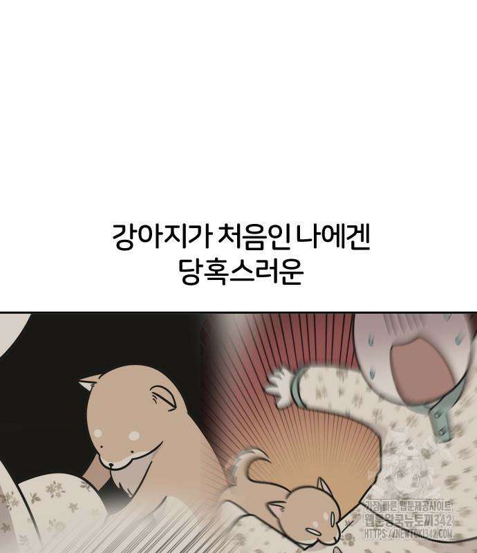 시바, 만만치 않다 3화 2