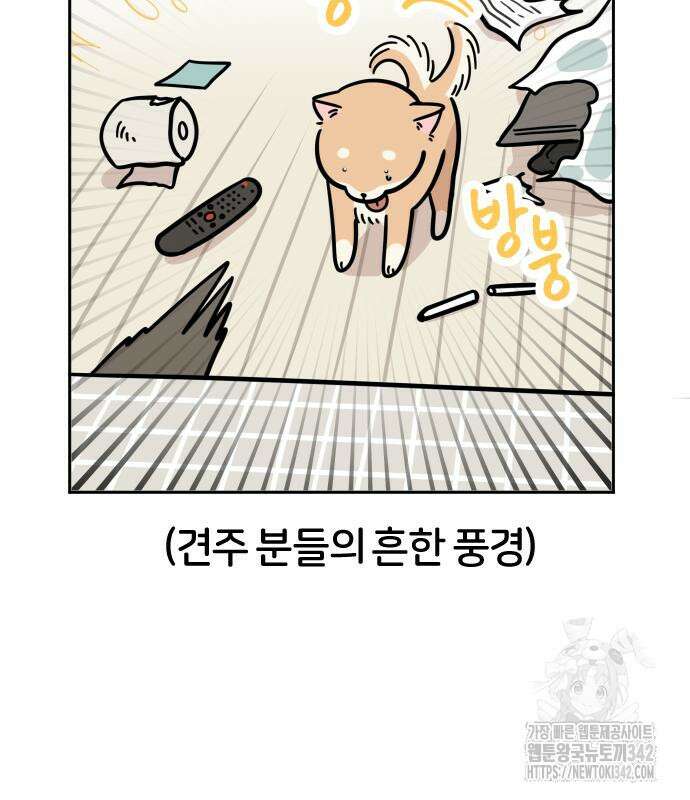 시바, 만만치 않다 3화 10