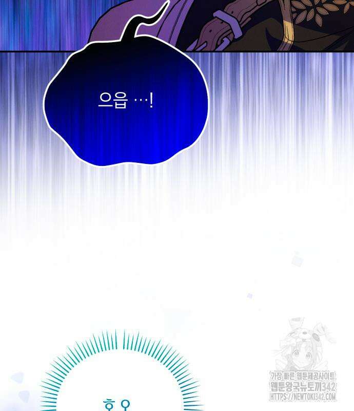 북부 공작님을 유혹하겠습니다 88화 22