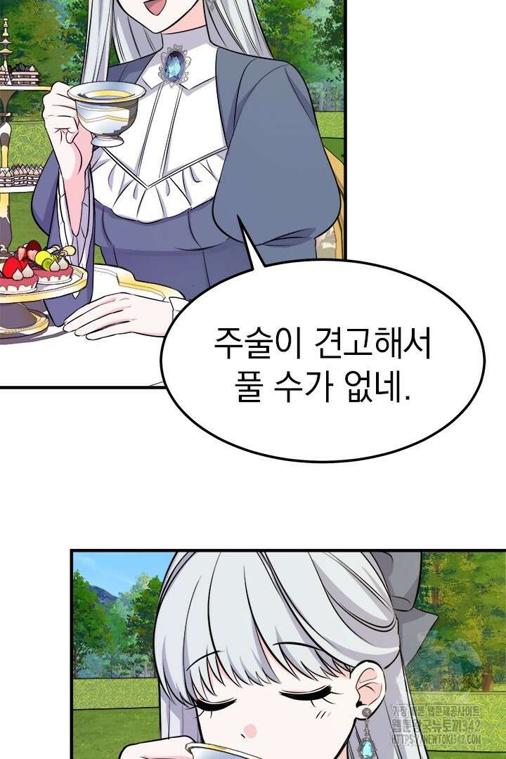 쫓아오지 마세요, 남주님! 47화 9