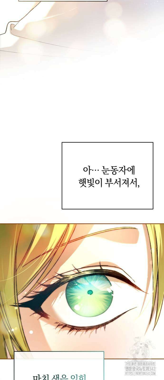 악역 폭군이 회귀해 버렸다 15화 15