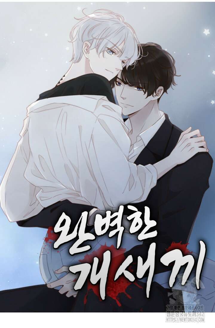 완벽한 개새끼 41화 4