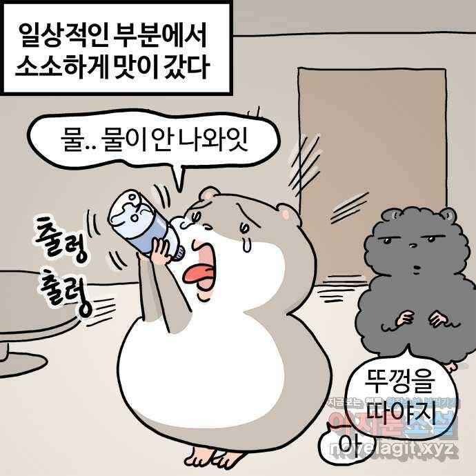 흔한햄 2부 8화 : 햄 처방 3