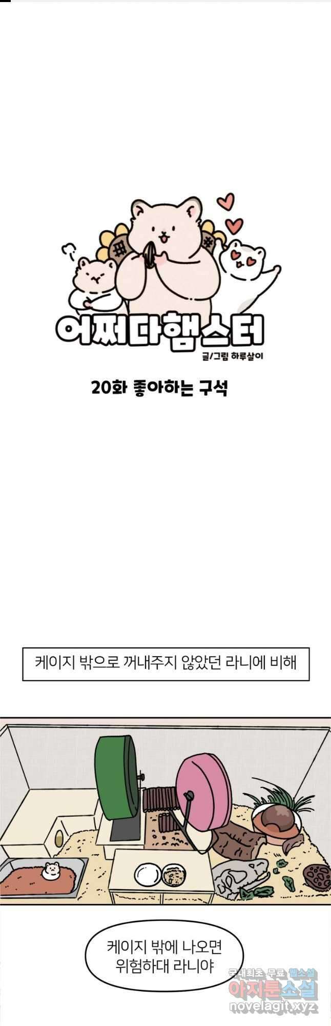 어쩌다 햄스터 20. 좋아하는 구석 1