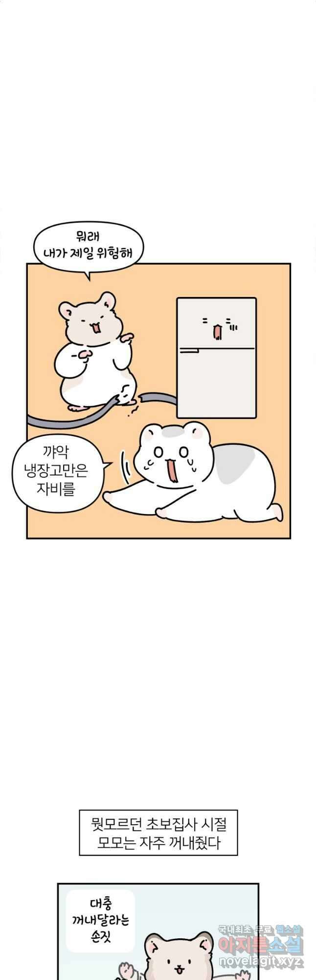 어쩌다 햄스터 20. 좋아하는 구석 2