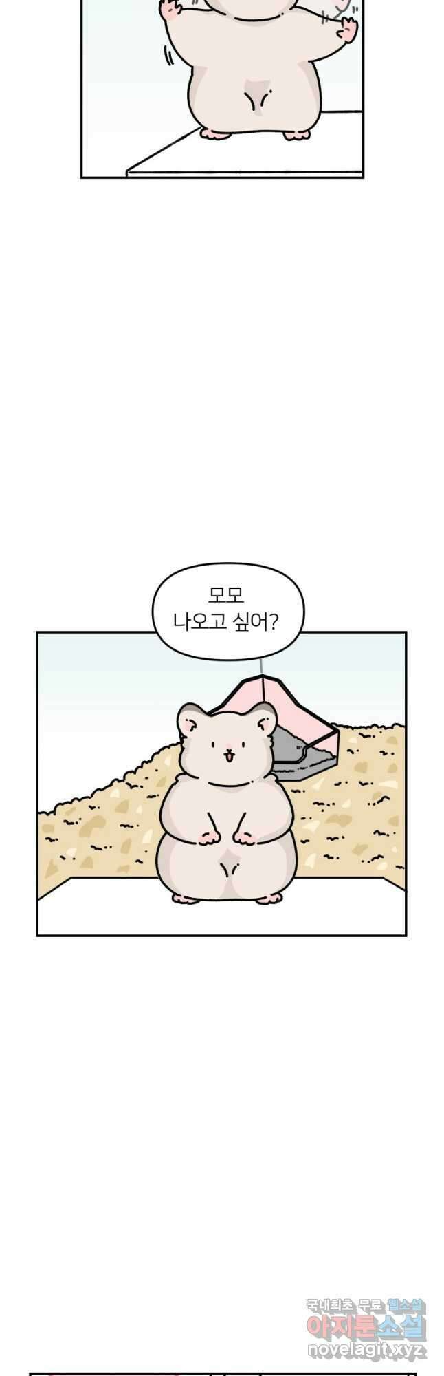 어쩌다 햄스터 20. 좋아하는 구석 3