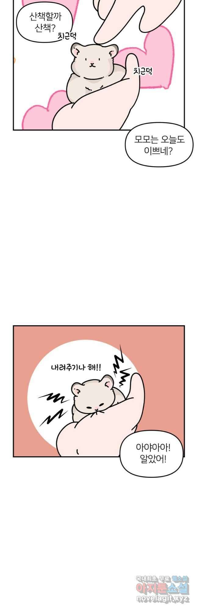 어쩌다 햄스터 20. 좋아하는 구석 4