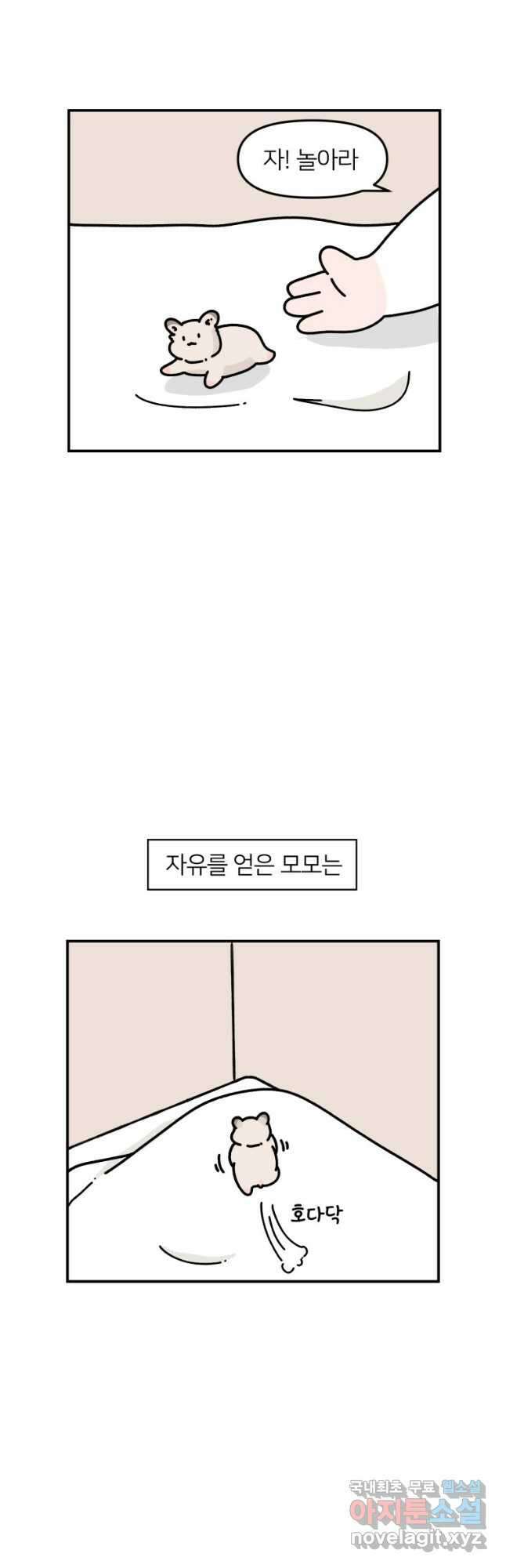 어쩌다 햄스터 20. 좋아하는 구석 5