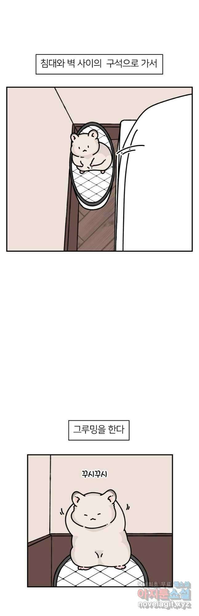 어쩌다 햄스터 20. 좋아하는 구석 6