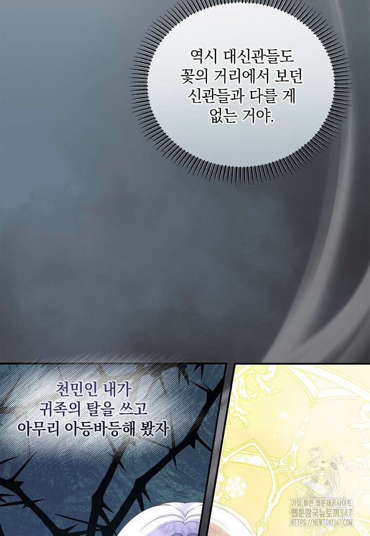 후원에 핀 제비꽃 50화 52