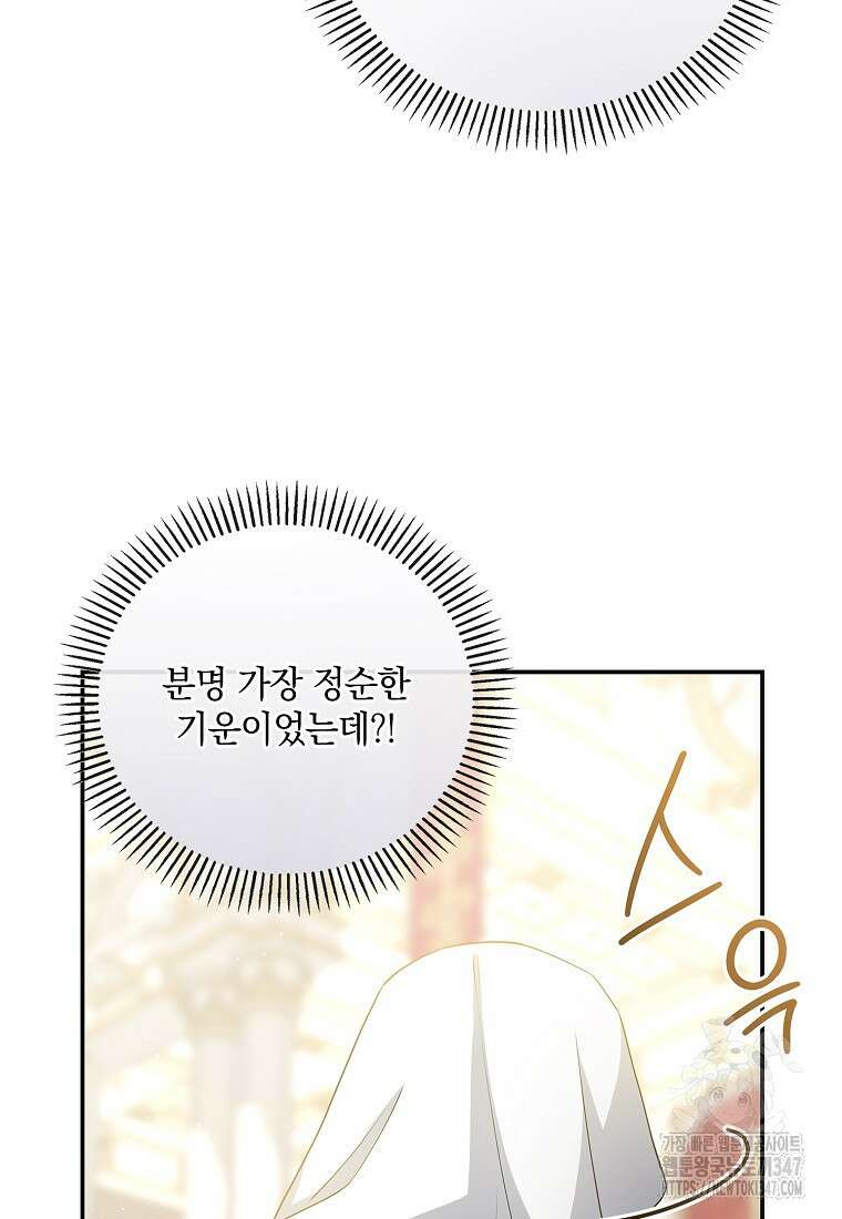 후원에 핀 제비꽃 50화 103