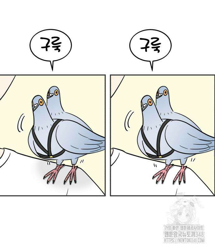 성북구 비둘기 이헌서 15화 12