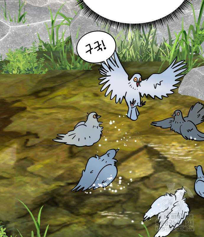 성북구 비둘기 이헌서 15화 22