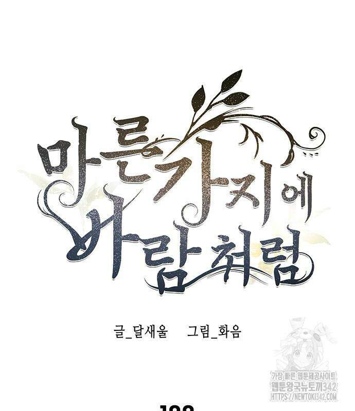 마른 가지에 바람처럼 188화 77