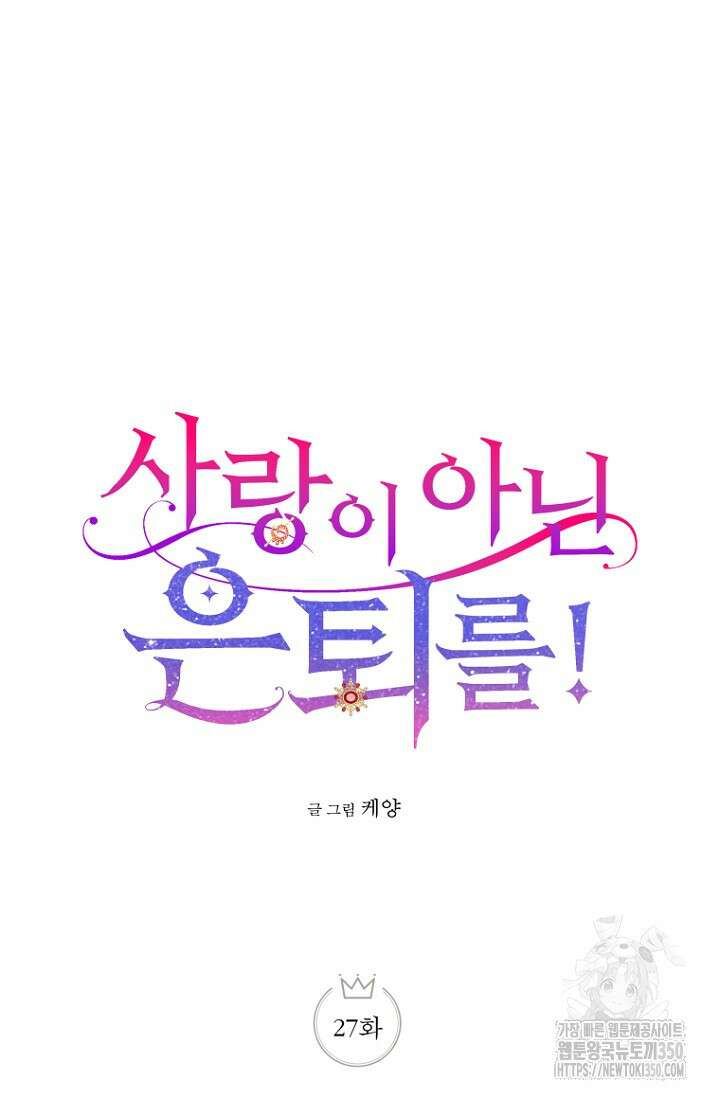 사랑이 아닌 은퇴를 27화 27
