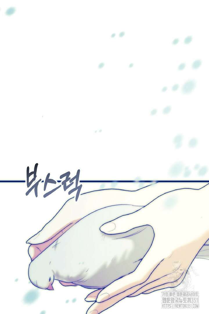 나는 대용품이었다 78화 2
