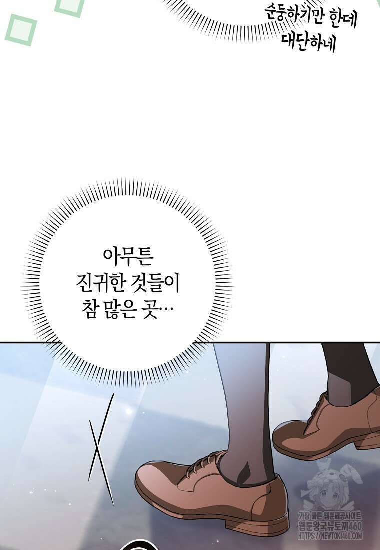 상태창에서 시한부가 빗발친다 40화(시즌1 마지막화) 31