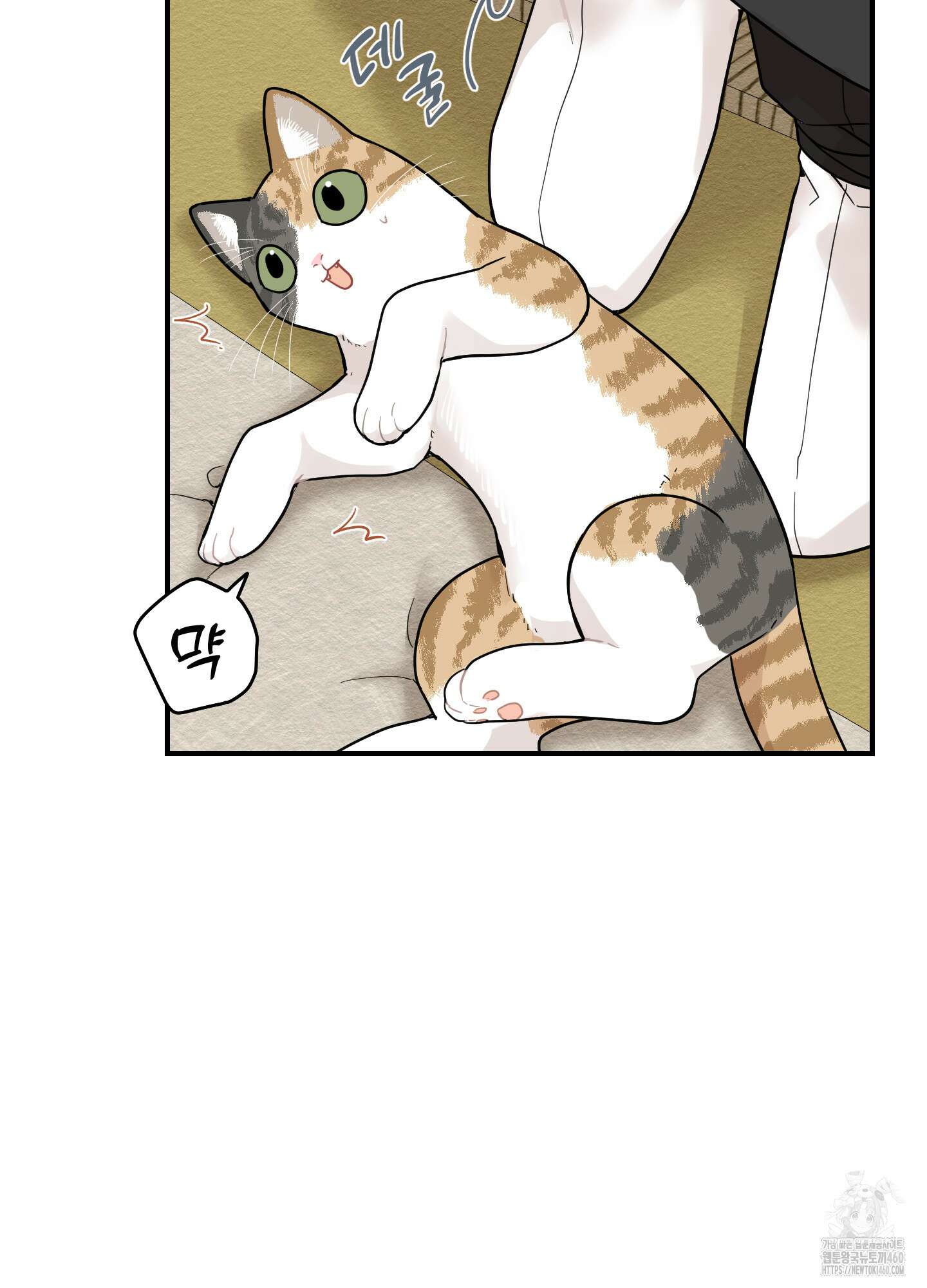 개나리가 떨어진 길 70화 9