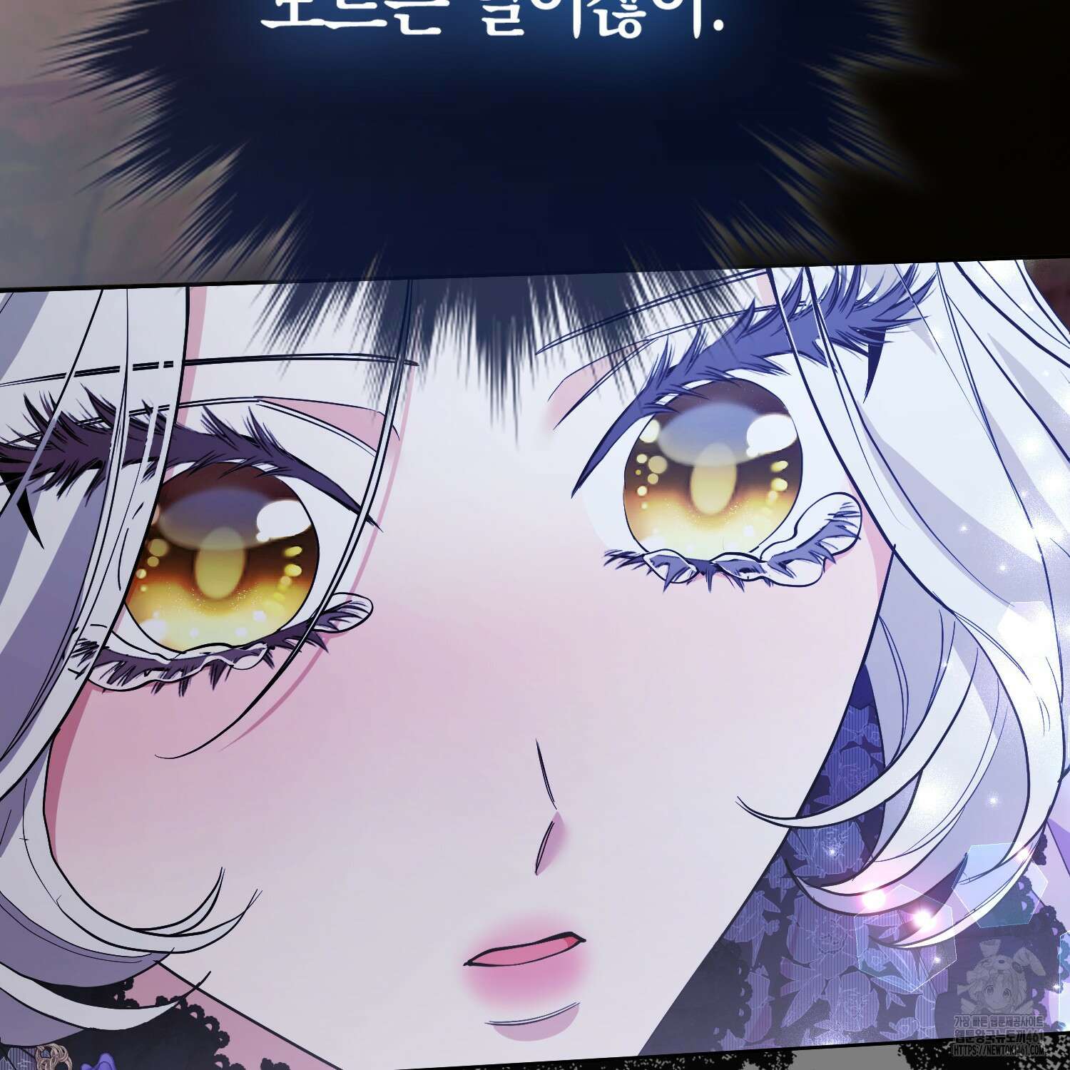 대공가의 여우 황녀님 49화 91