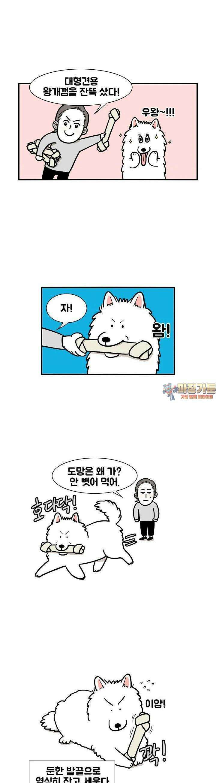 극한견주 19화 개껌 숨기기 1