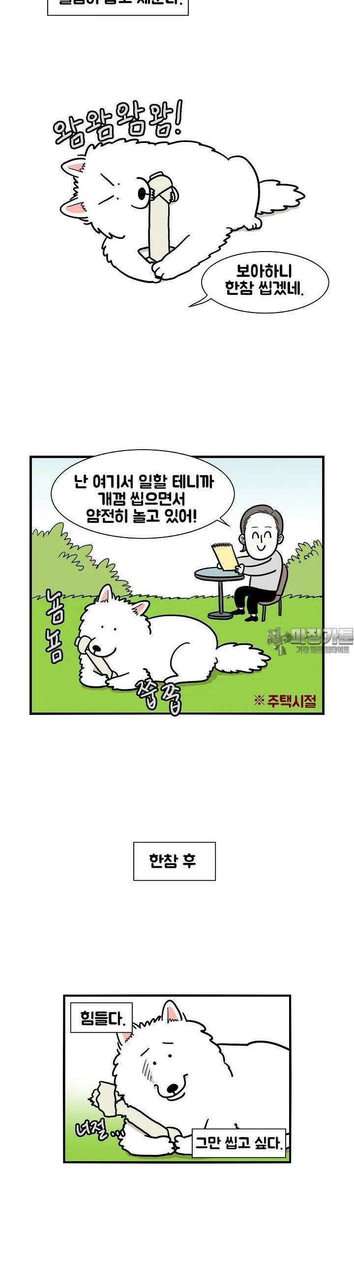 극한견주 19화 개껌 숨기기 2