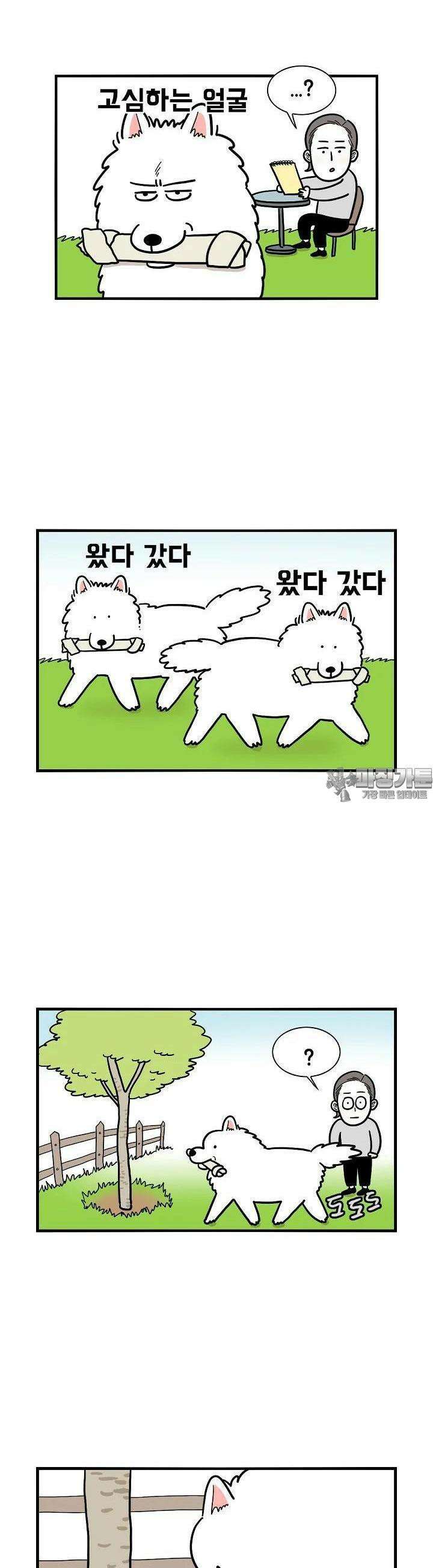 극한견주 19화 개껌 숨기기 3
