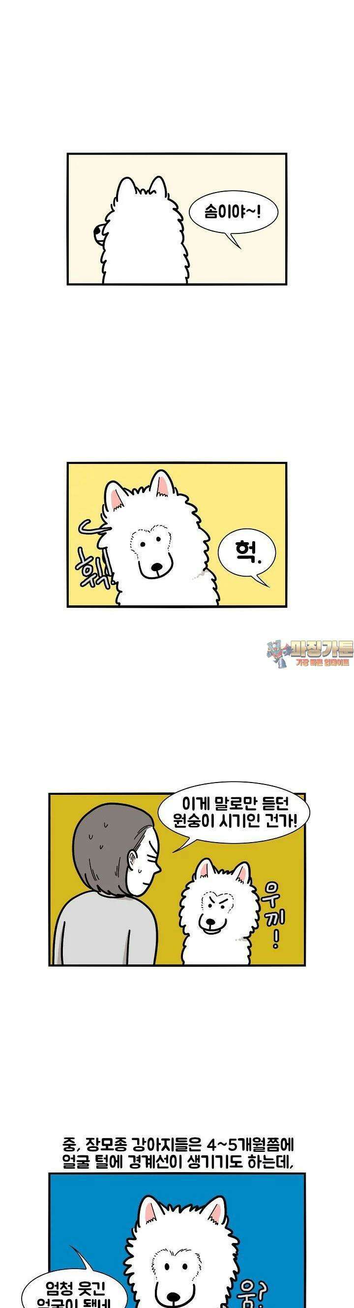 극한견주 29화 원숭이 1