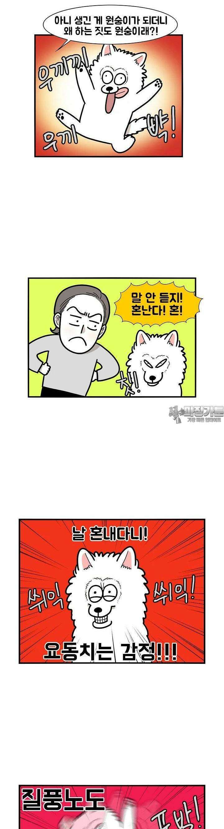 극한견주 29화 원숭이 4