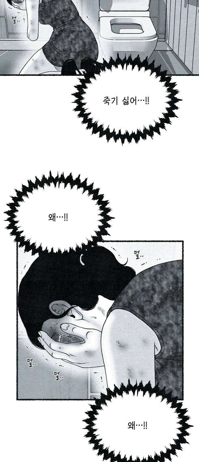 벌집  37화 10