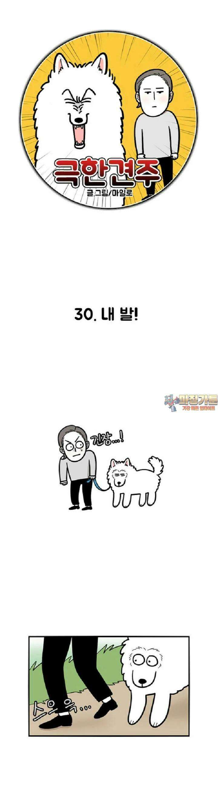 극한견주 30화 내 발! 1