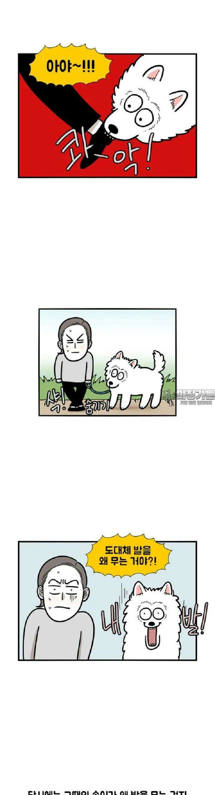 극한견주 30화 내 발! 2