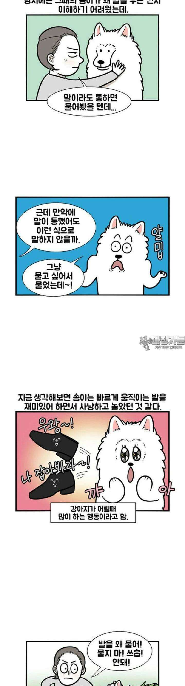 극한견주 30화 내 발! 3