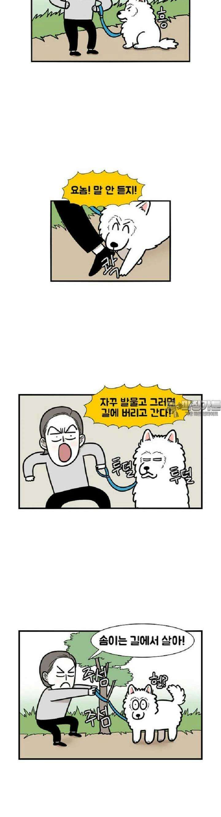 극한견주 30화 내 발! 4