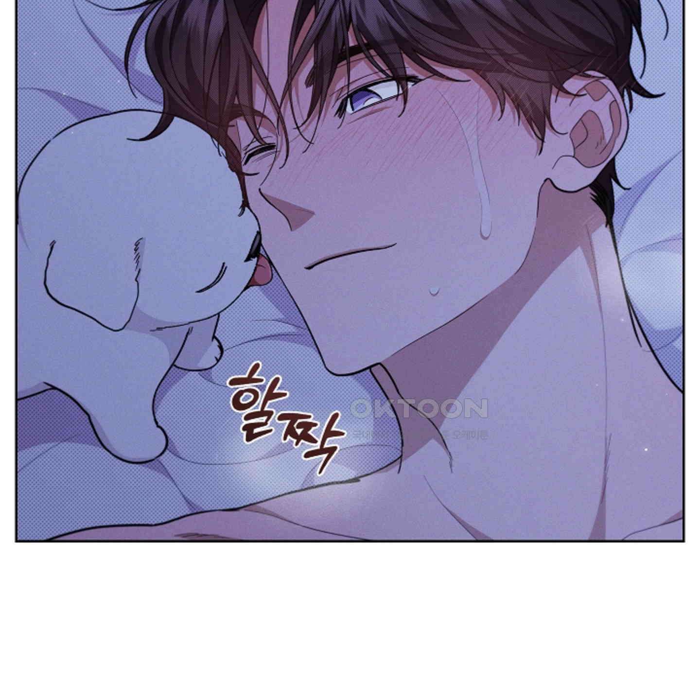 강아지는 건드리지 마라 13화 13