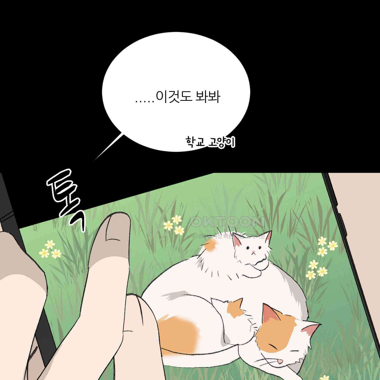 행방불명 로맨스 36화 27