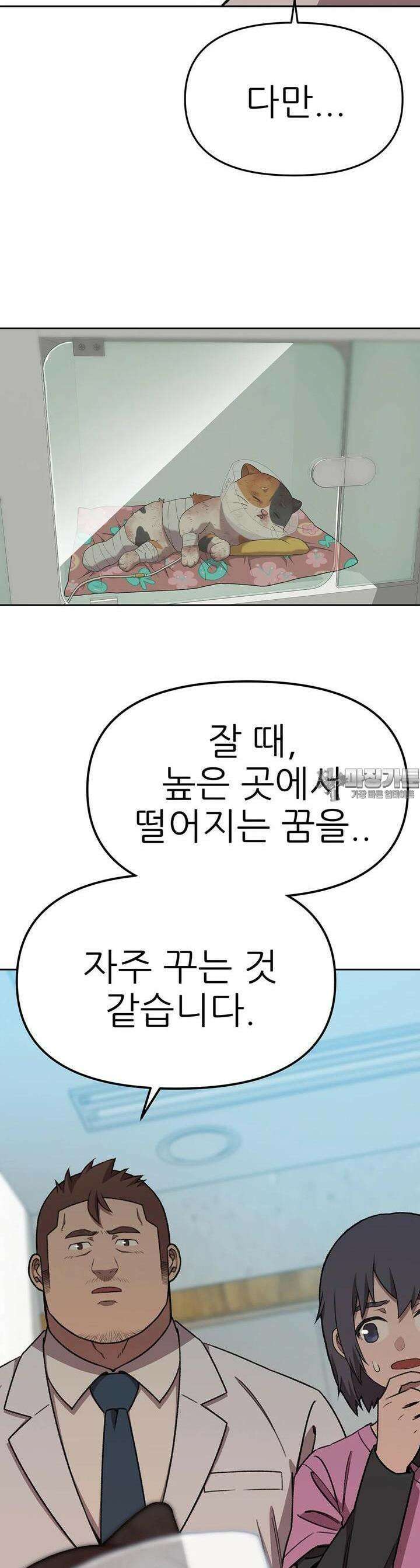 무지개다리 파수꾼 무지개다리 파수꾼 151화 17