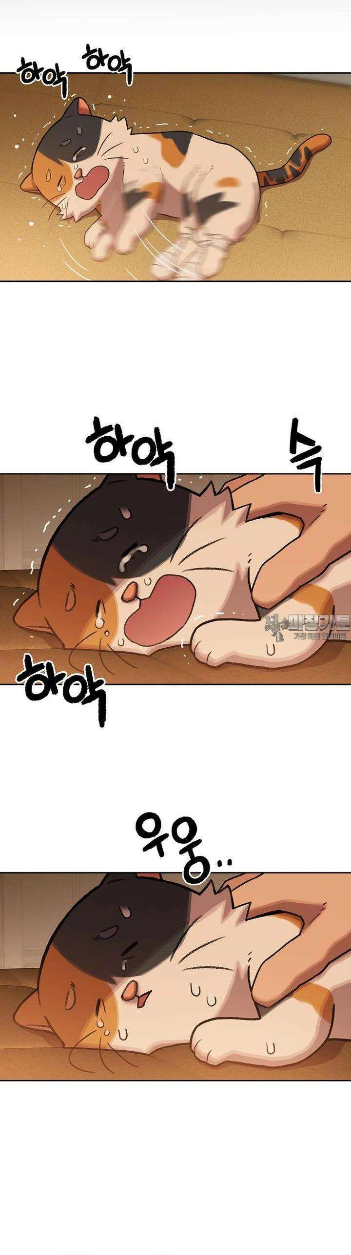 무지개다리 파수꾼 무지개다리 파수꾼 151화 34