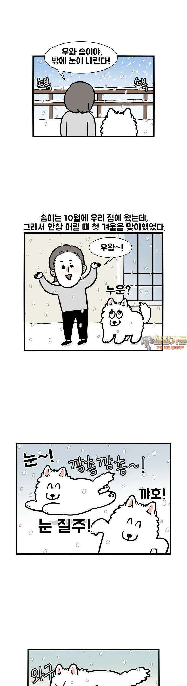 극한견주 38화 겨 울 1