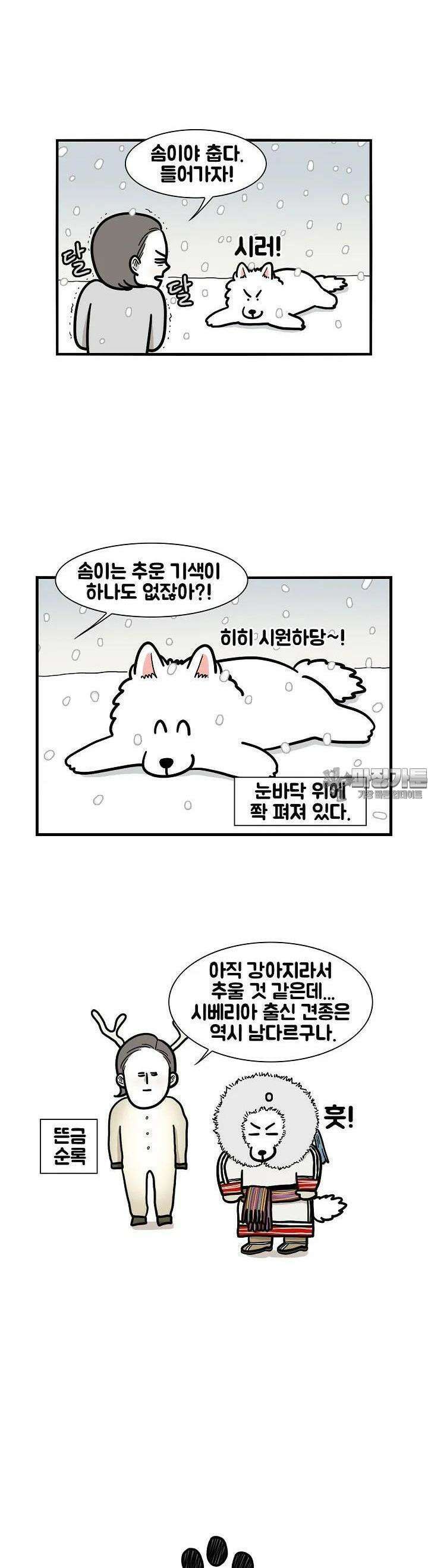 극한견주 38화 겨 울 3