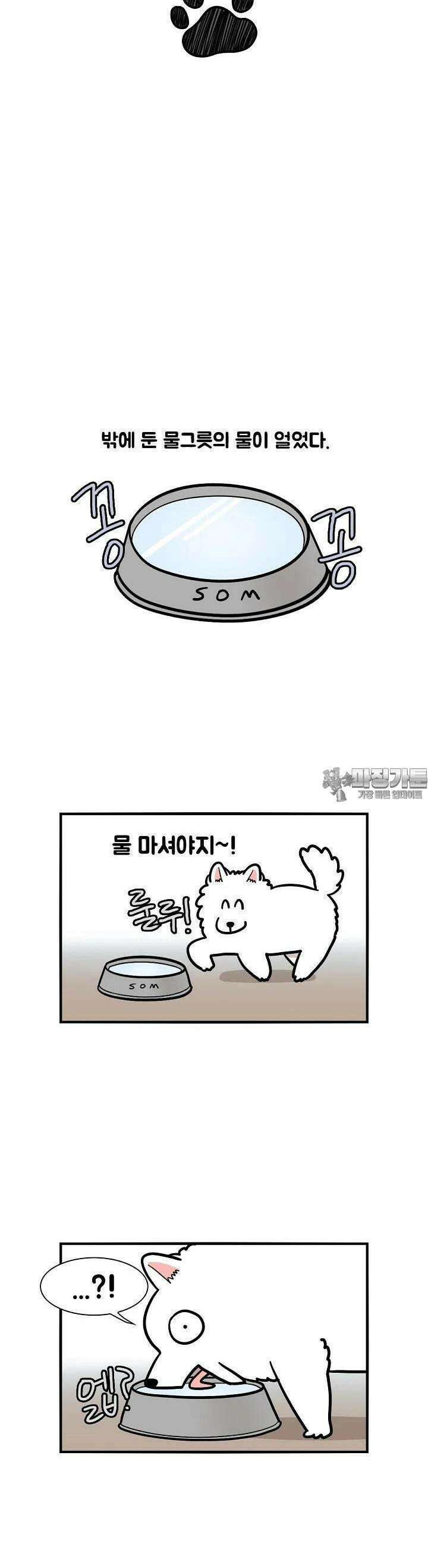 극한견주 38화 겨 울 4