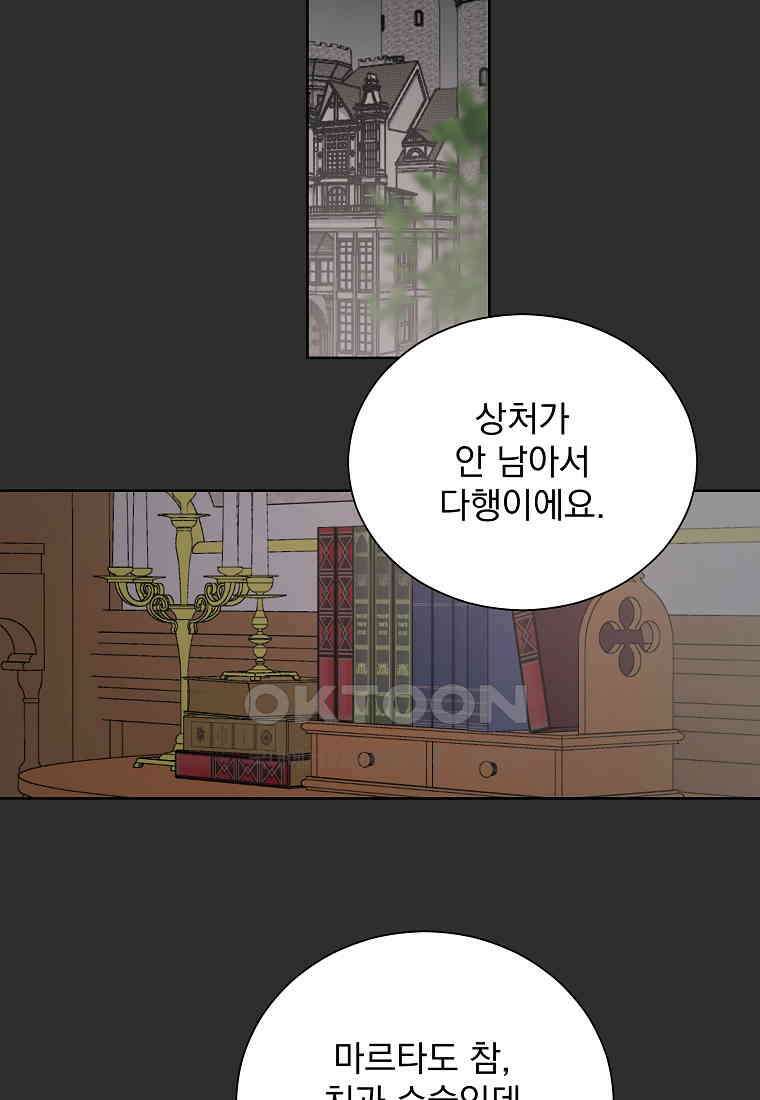 해 밝은 밤의 산책 49 2