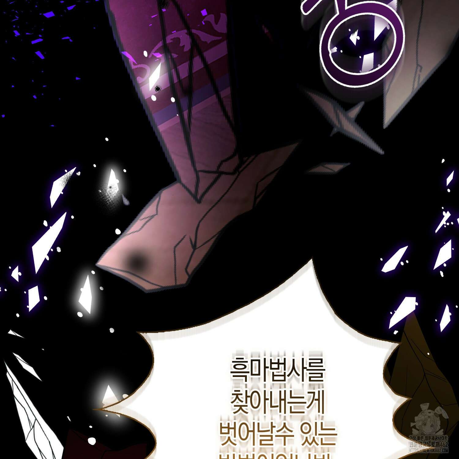 대공가의 여우 황녀님 51화 11