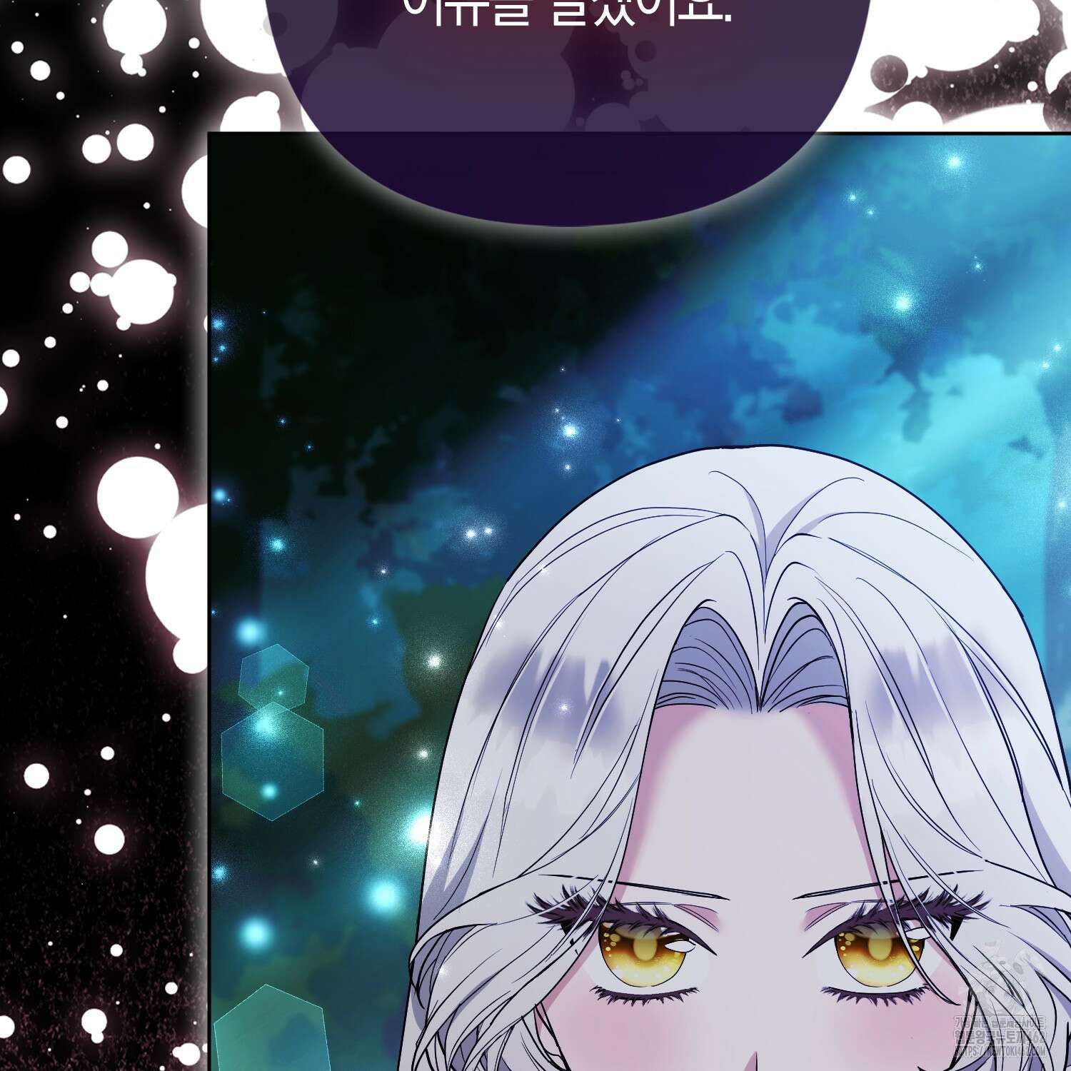 대공가의 여우 황녀님 51화 59