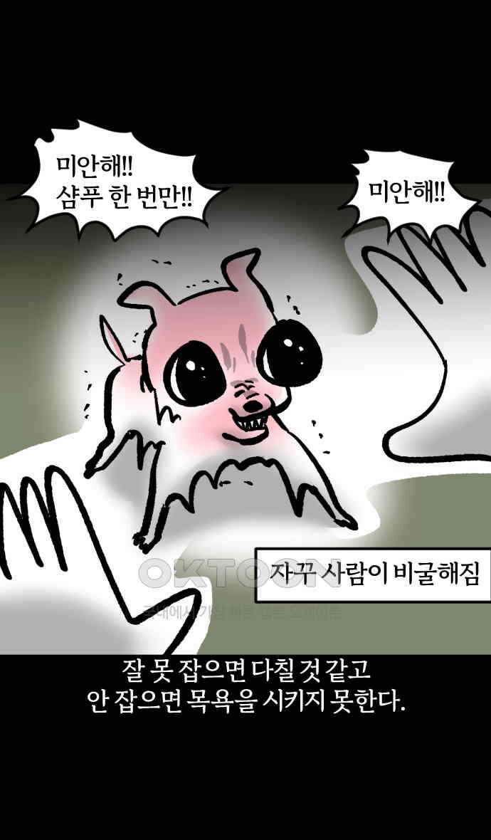 개집사 23화 개를 씻자 10