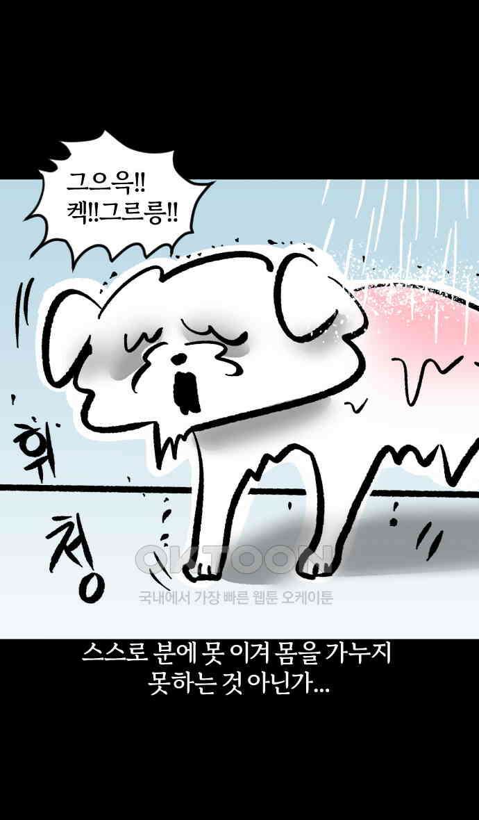 개집사 23화 개를 씻자 15