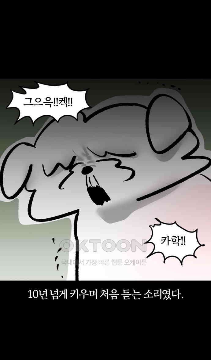 개집사 23화 개를 씻자 16