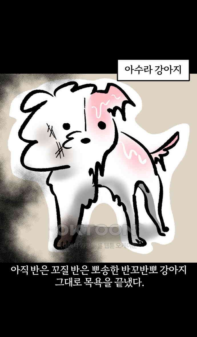 개집사 23화 개를 씻자 20