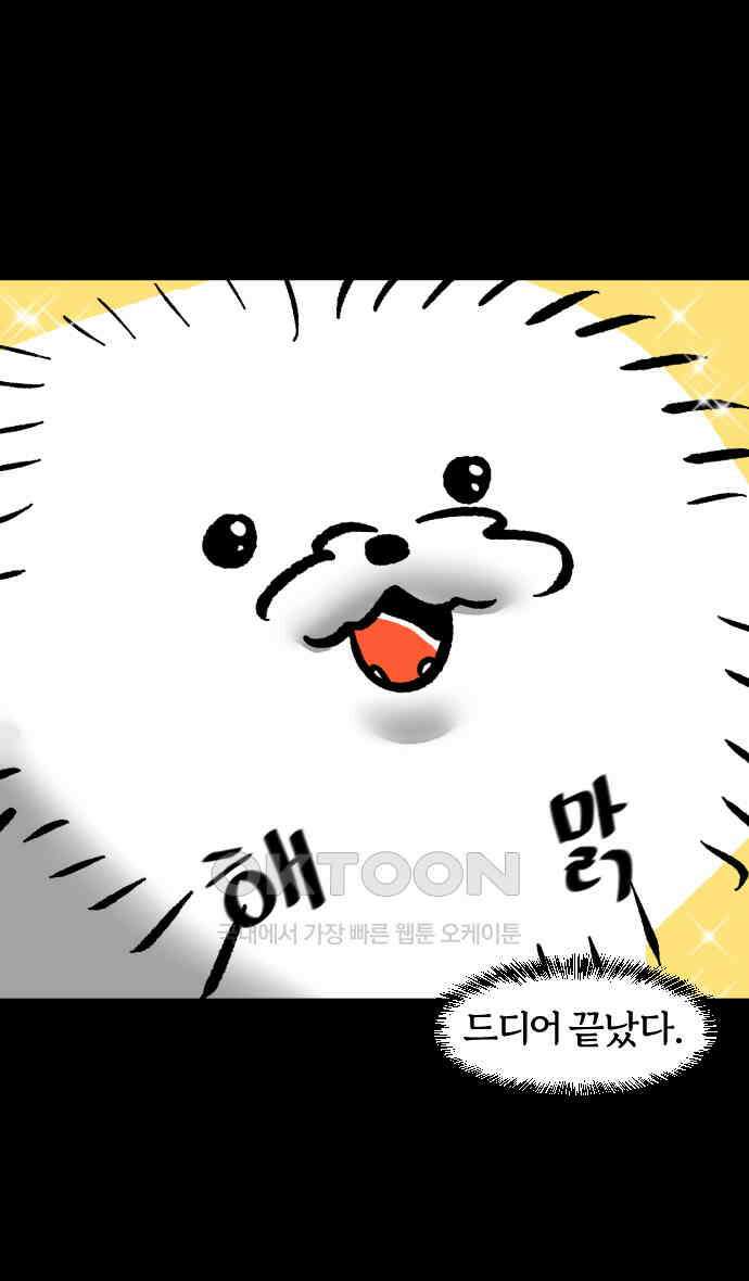 개집사 23화 개를 씻자 23